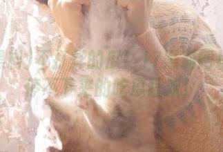 不打烊的瓜！17黑料网址让你停不下来的吃瓜狂欢！