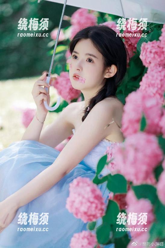 355.fun网站：这里的瓜，比你家里的WiFi信号还强！