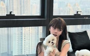 更新：91吃瓜资源，连瓜都被重新定义了？！