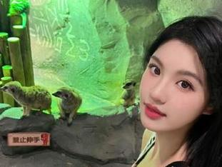 xgua99网站：如何在‘.tv’的世界里吃瓜吃到停不下来？