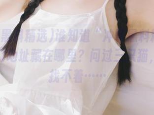 谁知道“冲哥黑料精选”传送门地址藏在哪里？问过三只猫，还是找不着……