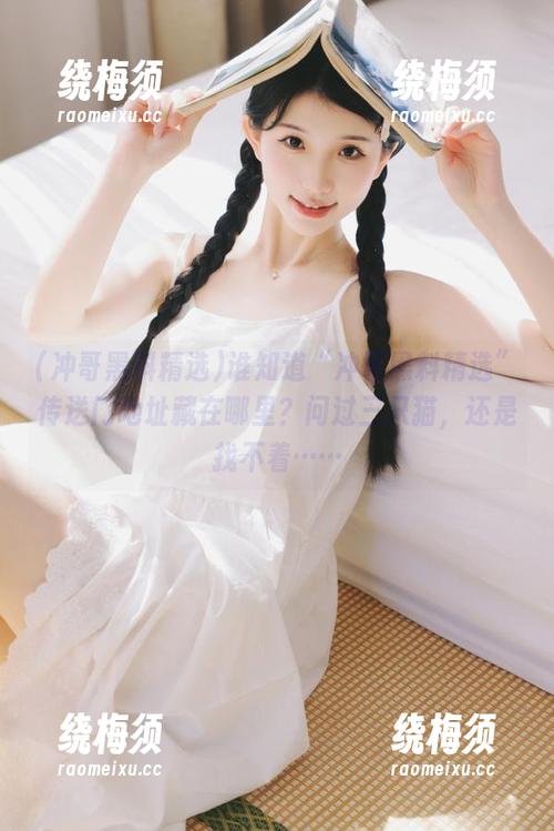 谁知道“冲哥黑料精选”传送门地址藏在哪里？问过三只猫，还是找不着……