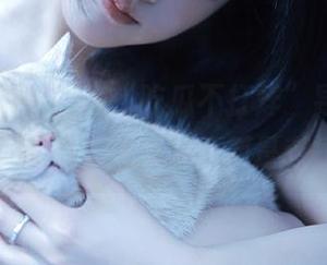 在“吃瓜不打烊”导航下，果然瓜田里没拐弯，都是老梗！