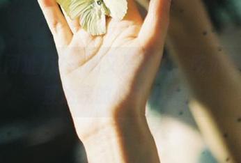 这一刷又是半夜，吃瓜网址51直达我的心酸人生！