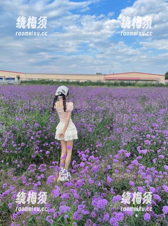 想知道真相？吃瓜黑料，直达网址在线，保证让你乐开花