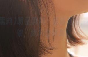 明星黑料：直达真相，神仙打架，我只想转发！