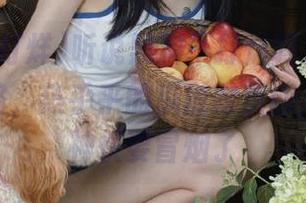 听说黑料不打烊吗？放心，永不迷路，热乎乎的瓜随时供应，我的精神快要冒烟了