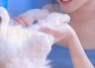 萝卜白菜各有所爱，谁能告诉我“黑料不打烊”的资源官网是啥？求分享！